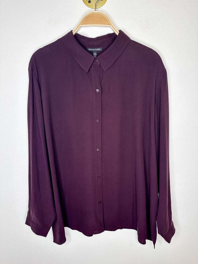 Silk Georgette Crepe Long Sleeve Button Up Shirt (NWT, orig. $278)