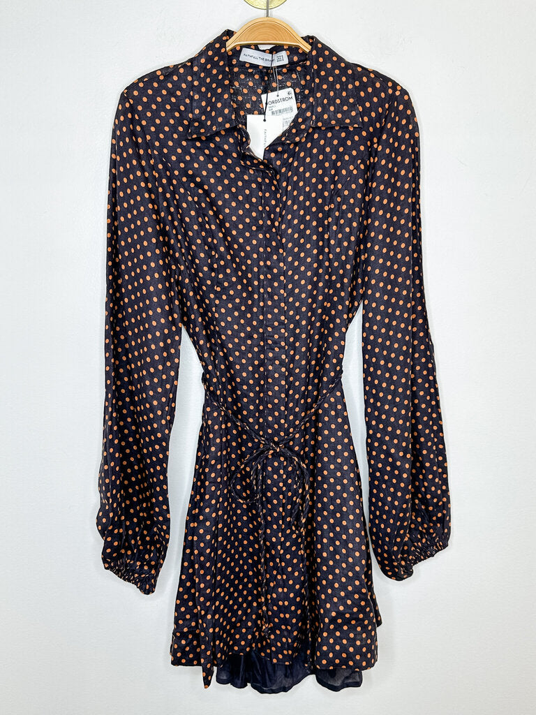 Linen Polka Dot Long Sleeve Shirt Dress (NWT, orig. $289)