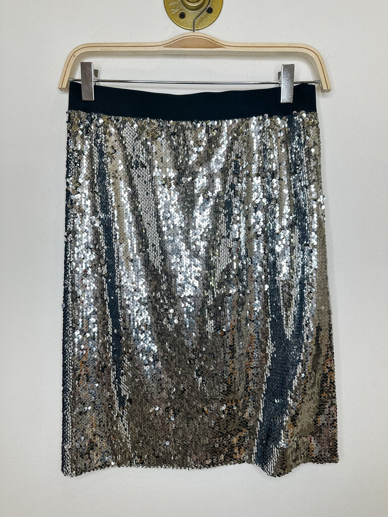 Knee Length Sequin Skirt (orig. ~$220)