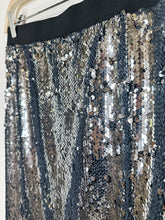 Load image into Gallery viewer, Knee Length Sequin Skirt (orig. ~$220)
