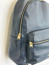Load image into Gallery viewer, Charlie Pebbled Leather Campus Backpack (orig. $400)
