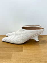 Load image into Gallery viewer, Shadow Woven Pointed Toe Mules (orig. $270)
