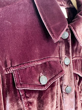 Load image into Gallery viewer, Dillon Cropped Velvet Jacket (orig. $495)
